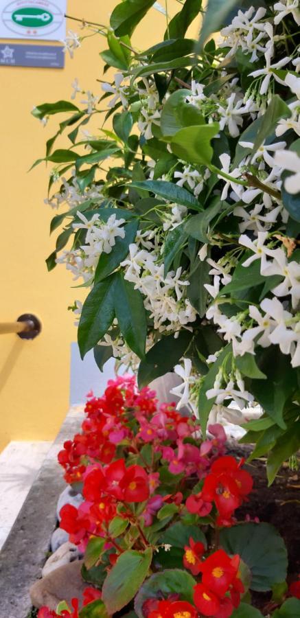 Mediterranean Concept House Hotell La Spezia Exteriör bild